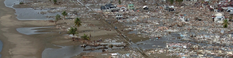 case study of any affected area by tsunami