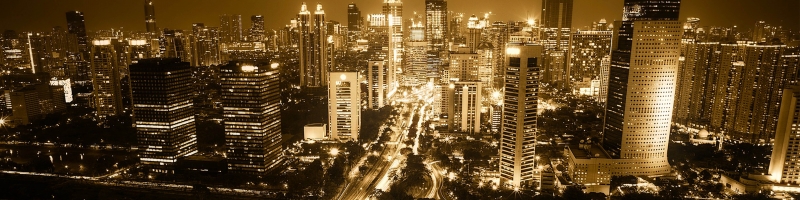 Case Study - Trial of the Jakarta governor and subsequent protests