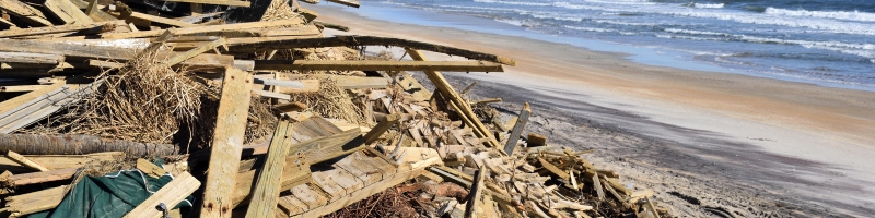 Case Study – Severe flooding and mudslides in southern Japan